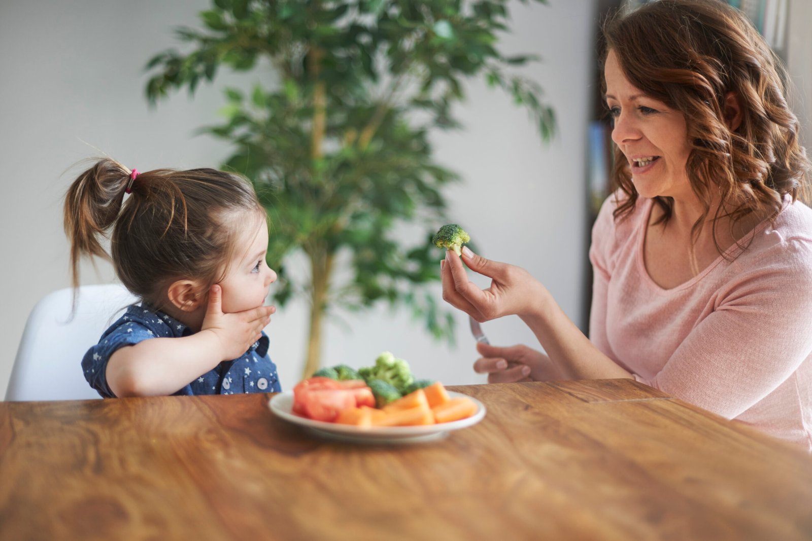 Alimentação Infantil e Imunidade: Existe Relação